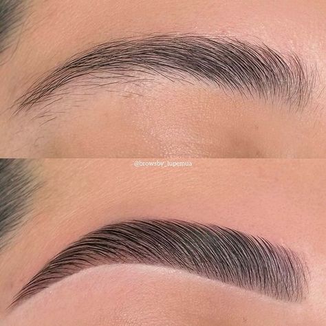 Done Eyebrows, Natural Brow Lamination And Tint, Natural Laminated Brows, Laminated Eyebrows Before And After, Laminated Brows Before And After, 2024 Eyebrows, Laminate Eyebrows, Lamination Eyebrows, Eyebrow Lamination And Tint