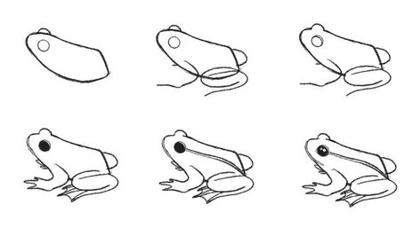 How to Draw a Frog (Step by Step with Pictures) - Jae Johns Forg Drawings, Small Frog Drawing, A Frog Drawing, Frog Drawing Tutorial, Draw A Frog, Frog Sketch, Animal Tutorial, Small Frog, Frog Drawing