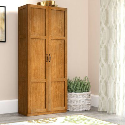 Tall Armoire, Craft Armoire, Office Storage Cabinets, Storage Cabinet Shelves, Organization Furniture, Wayfair Furniture, Craft Room Storage, Accent Doors, Accent Cabinet