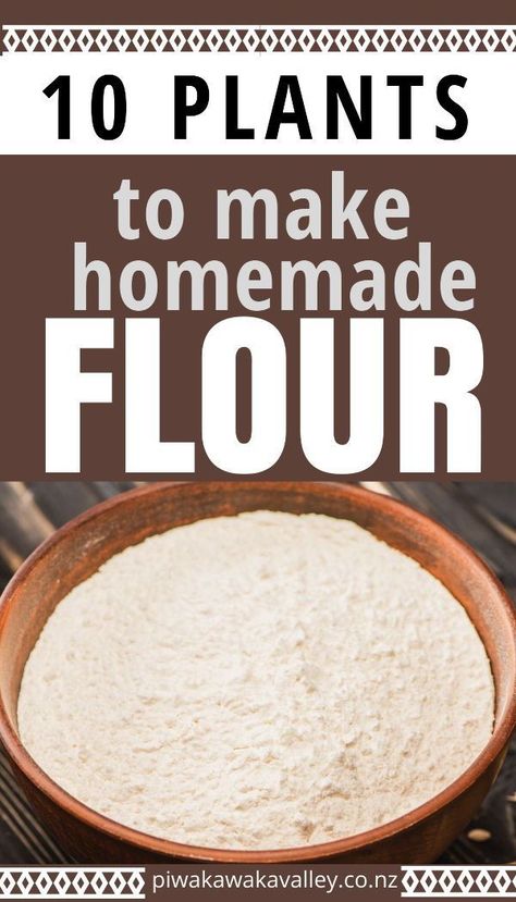 Grow Wheat For Flour, Making Flour From Wheat, How To Make Flour From Wheat, Grains To Grow At Home, Vegetable Flour Recipes, Sunflower Stalk Flour, How To Grow Wheat For Flour, Growing Wheat For Flour, Growing Grains At Home