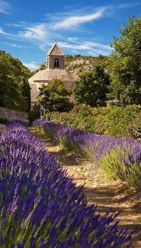 Beautiful France, Provence France, French Countryside, Lavender Fields, Lavender Flowers, France Travel, South Of France, Beautiful World, Beautiful Landscapes