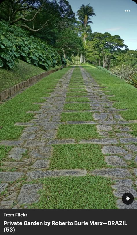 Driveway Entrance Landscaping, Stone Garden Paths, Burle Marx, Driveway Design, Driveway Landscaping, Sloped Garden, Outdoor Gardens Design, Garden Pathway, Outdoor Decor Backyard