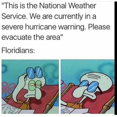 Hurricane Memes for Floridians – 20 Pics Florida Funny, Weather Memes, Funny Weather, National Weather Service, Spongebob Memes, Bones Funny, Popular Memes, Dankest Memes, Really Funny