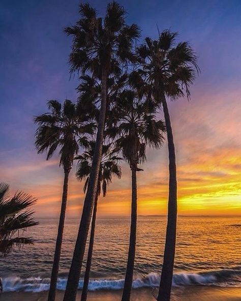 #LagunaBeach #California @erubes1  Tag Or DM us to be featured! Bali Legian, Legian Bali, Honeymoon Places, Legian, Honeymoon Travel, Romantic Places, Sun Sets, Destination Voyage, Bali Travel