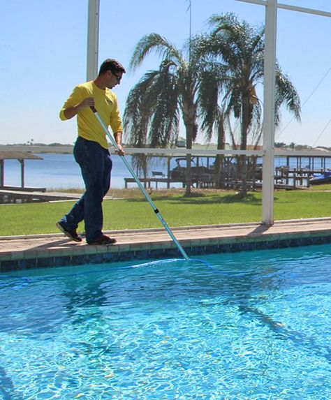 Wanting to know if you need a pool cleaning or pool repair? Call our professional pool cleaners in the Winter Haven FL area from Bartow FL to Lake Wales FL Pool Cleaner, Pool Algae, Pool Movie, Pool Vacuums, Swim Instructor, Lakeland Florida, Swimming Benefits, Pool Skimmer, Pool Repair