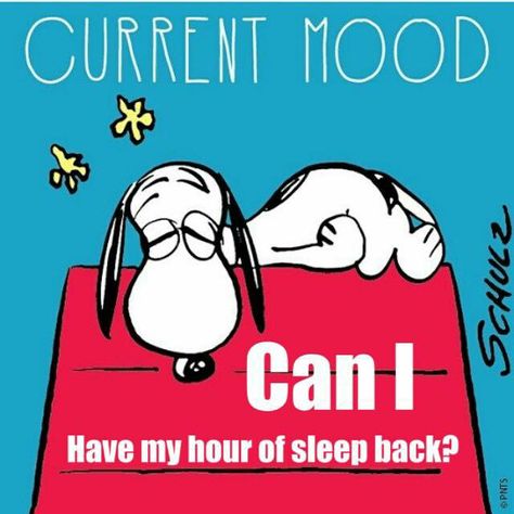 Time change spring forward Snoopy Dog, Snoopy Funny, Peanuts Snoopy Woodstock, Peanuts Cartoon, Peanuts Characters, Snoopy Quotes, Snoopy Pictures, Spring Forward, Grammar School