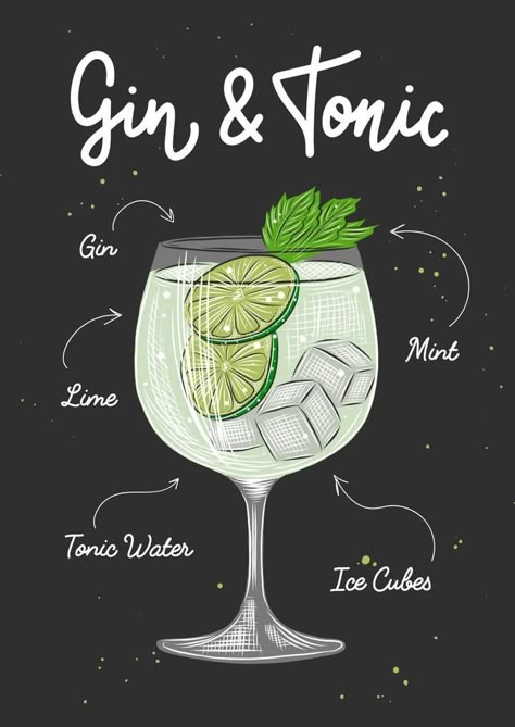 Gin Tonic Decoration, Cocktail Vector Illustrations, Gin And Tonic Poster, Gin And Tonic Illustration, Gin Tonic Illustration, Cocktail Art Illustration, Beverage Drawing, Cocktail Sketch, Gin Illustration