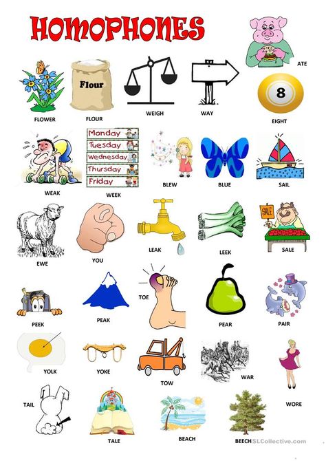 Homonyms Words, Homophones Activity, Teaching Kids Letters, Homophones Worksheets, Homophones Words, Teaching Freebies, Verbs List, Nouns Worksheet, Confusing Words