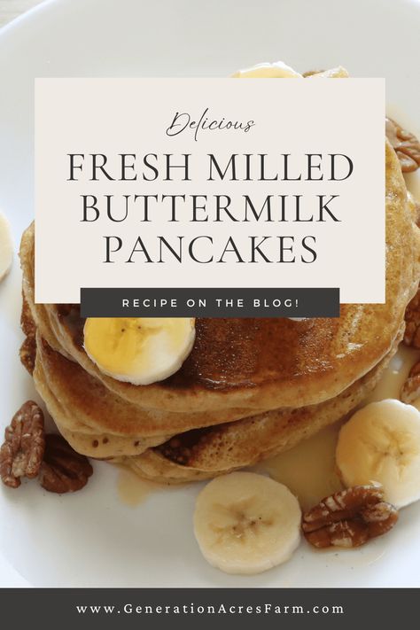 The most delicious freshly milled pancakes Ancient Grains Recipes, Fresh Milled Flour, Wheat Flour Recipes, Freeze Pancakes, Delicious Pancakes, Flours Banana Bread, Whole Wheat Pancakes, Wheat Pancakes, No Flour Pancakes