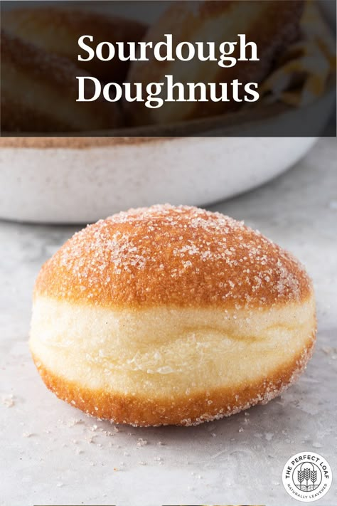 Best Doughnut Recipe, Donut Dough Recipe, Sourdough Doughnut Recipe, Soft Donut Recipe, Sourdough Donut Recipe, Homemade Doughnut Recipe, Nutella Donuts, Baked Doughnut Recipes, Doughnut Recipes