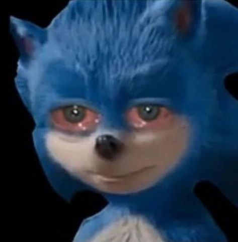 Cursed Sonic Images, Cursed Sonic, Hedgehog Meme, Emoji Drawings, Sonic Funny, Blue Hedgehog, Sonic Franchise, Anime Cover Photo, Roblox Memes