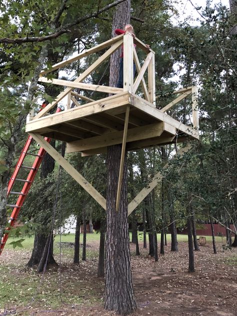 Treehouse House, Tree Topper Ideas, Treehouse Masters, Building A Treehouse, Tree House Plans, Tree Fort, Tree House Diy, Tree Plan, Tree House Kids