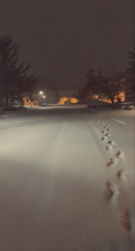 fresh snow after a storm at night Grunge Snow Aesthetic, Fresh Snow Aesthetic, Snow Storm Aesthetic, Winter Snaps, Snow Snap, Winter Snap, Snow At Night, Snow Outside, Snow Days