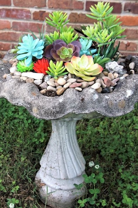 How To Create An Artificial Succulents Bird Bath Display That Looks Real Bird Bath Succulent Garden, Succulent Birdbath, Bird Bath With Succulents, Fairy Garden Bird Bath, Diy Bird Bath Upcycle Glass Bowls, Hand Made Bird Bath, Concrete Bird Bath, Succulent Display, Rock Garden Design