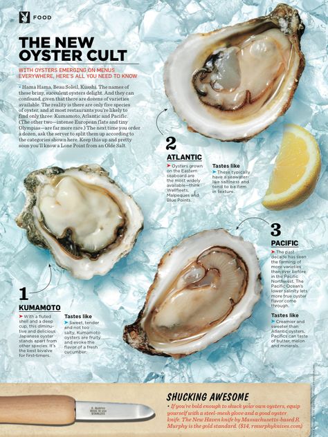 IN THE ISSUE: The New Oyster Cult | All You Need to Know Oyster Nutrition Facts, How To Prepare Oysters, How To Shuck Oysters At Home, Oysters Nutrition, Kilpatrick Oysters Recipe, Finding Pearls In Oysters Video, Oyster Roast, Oyster Recipes, Shellfish Recipes