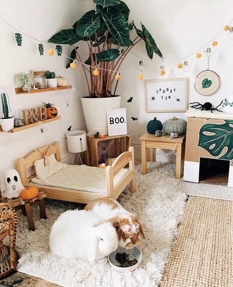 Boho Bunny Room, Bunny Free Roam Area, Bunny House Decor, Rabbit In Bedroom, Bunny Setup In Bedroom, Indoor Bunny Setup Diy, Freeroam Bunny Setup, Bunny Cage Setup Ideas, Rabbit Set Up Indoor Aesthetic