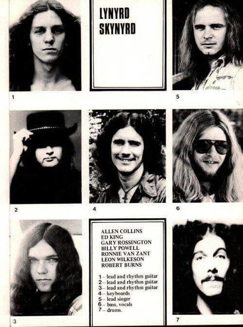 Lynyrd Skynyrd Billy Powell, Allen Collins, Gary Rossington, Ronnie Van Zant, Lynyrd Skynyrd Band, Ronald Wayne, Rock Festivals, Rock And Roll Bands, Lynyrd Skynyrd