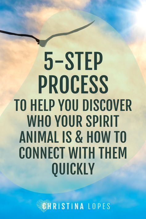 How to call spirit animals. And the simple 5-step process to help you discover who your spirit animal is and how to connect with them quickly. So, you might want to think twice before you take the vacuum to that spider residing in the corner of the room. She could be there to guide you! #mindfulliving #spirituality #spiritanimal | christina-lopes.com Animal Spirit, Your Spirit Animal, Spirit Animals, My Animal, Mindful Living, How To Find, Spirit Animal, Find It, Discover Yourself