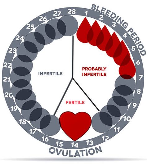 Period Calculator Period Circle, Period Chart, Menstrual Cycle Calendar, Fertility Day, Fertility Calendar, Period Calendar, Ovulation Calendar, Ovulation Cycle, Monthly Cycle