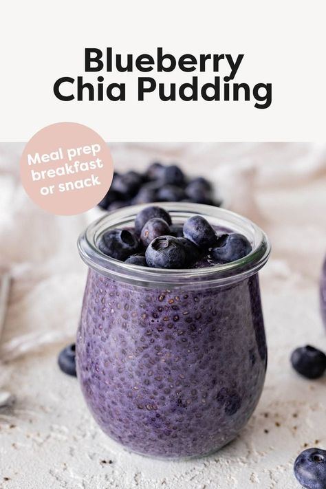 Blueberry Chia Pudding Vegan Chia Pudding, Low Histamine Recipes, Blueberry Chia Pudding, Chia Recipe, Coconut Chia Pudding, Low Histamine Diet, Low Histamine, Chia Seed Recipes, Summer Breakfast