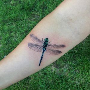 Animal Tattoos and their Meanings | by Jhaiho | Medium Dragon Fly Tattoo, Fly Tattoo, Dragonfly Tattoo Design, Tattoo Zeichnungen, Blue Dragonfly, Dragonfly Tattoo, Tattoo Design Book, Tattoo Magazines, Tattoo Videos