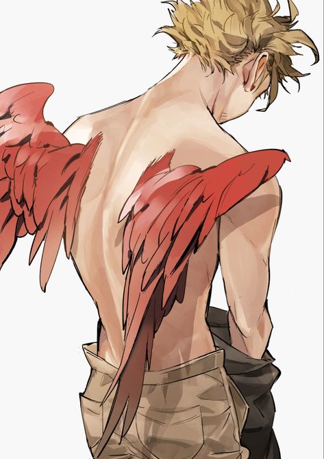 Hawk Wings, Hawk Pictures, Winged People, Hes Mine, My Hero Academia Episodes, Pretty Birds, Hero Academia Characters, Fanarts Anime