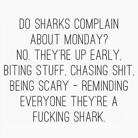 Monday Motivation... 🙌🏻🤣#BBMC7 #BikiniBodyMommy  #Regram via @bikinibodymommy Be A Shark Quote, Shark Quotes, Never Miss A Monday, Dreamy Clouds, Career Motivation, Flying Home, Beachbody Coach, Inspirational Text, Fitness Inspiration Quotes