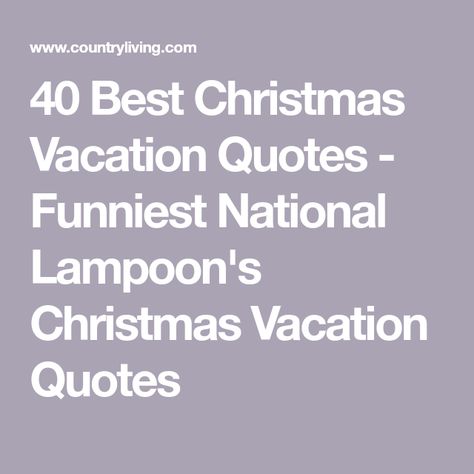 40 Best Christmas Vacation Quotes - Funniest National Lampoon's Christmas Vacation Quotes National Lampoon's Christmas Vacation Quotes, Lampoon Christmas Vacation, Lampoon's Christmas Vacation Quotes, Christmas Quotes Movies, National Lampoon Christmas Vacation Svg, National Lampoon Christmas Vacation Wallpaper, Quotes From Christmas Vacation, Christmas Vacation Aunt Bethany, Griswold Christmas Quotes