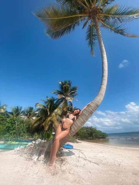 Girl laying on tree in bikini on the beach Belize Photo Ideas, Maldives Outfit Bikinis, Belize Vacation Aesthetic, Couples Beach Vacation Photo Ideas, Belize Pictures Ideas, Beach Photos Outfit Ideas, Bahama Picture Ideas, Tropical Vacation Photo Ideas, Barbados Photoshoot