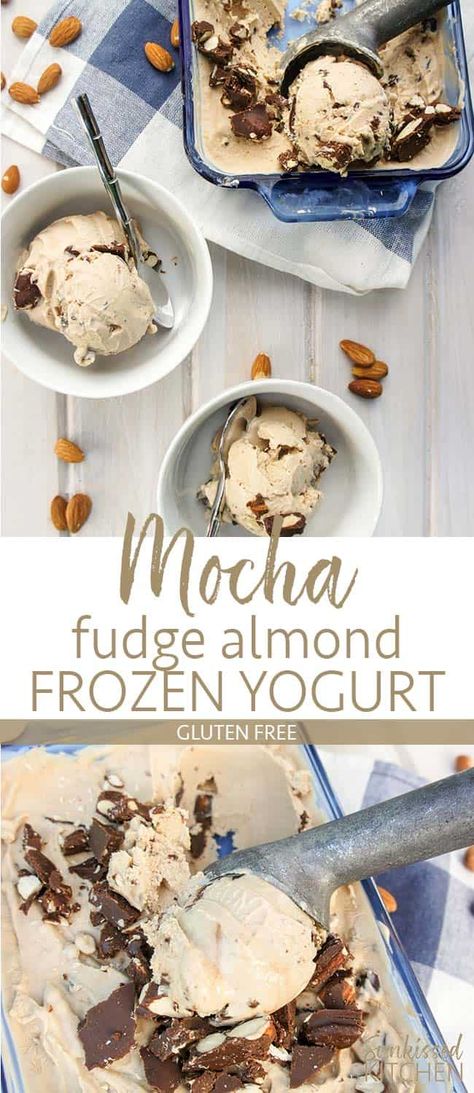 Protein Frozen Yogurt, Frozen Yogurt Recipe Healthy, Greek Yogurt Ice Cream, Frozen Yogurt Recipe, Healthy Frozen Yogurt, Homemade Frozen Yogurt, Mocha Fudge, Protein Ice Cream Recipe, Frozen Yogurt Recipes