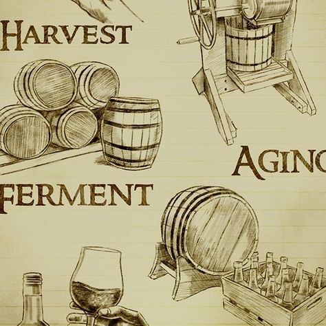 Graphics for Cider making process (vintage) Illustration or graphics contest design#illustration#graphics#Claudia Seaside Restaurant, News Website Design, Liquor Bar, Cider Making, Organic Logo, Vertical Design, Fun Illustration, Calendar Pages, Wall Graphics