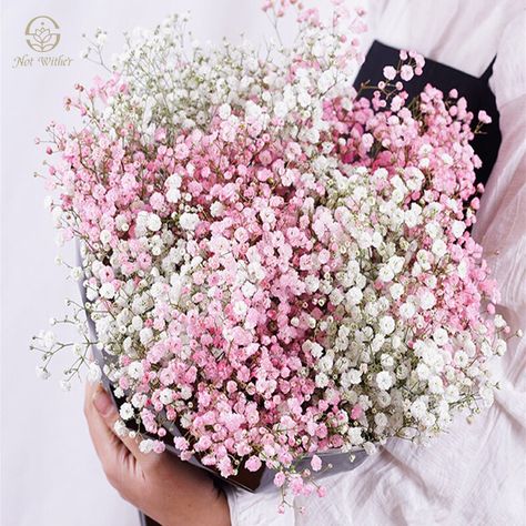 Gypsophila Wedding, Gypsophila Flower, Floral Backgrounds, Flowers Bouquet Gift, Gift For Wedding, Preserved Flowers, Favorite Flower, Favorite Flowers, Flower Bouquets