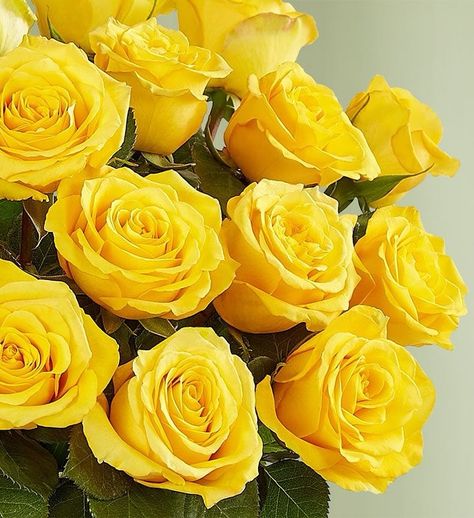 Jose Miguel Ortiz Baez (@tuamiguitolight) • Instagram photos and videos Yellow Rose Flower, Clear Vase, White Ceramic Vases, Candle Vase, Floral Vase, Candle Collection, Shades Of Yellow, Yellow Roses, Flower Delivery