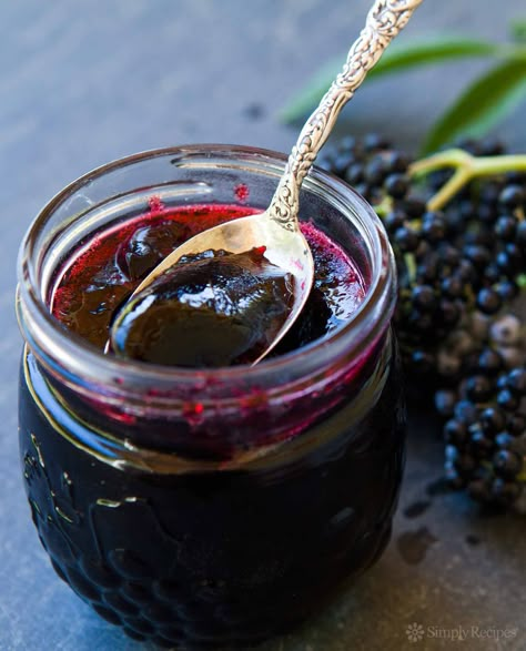 Elderberry Jelly Recipe | SimplyRecipes.com Elderberry Jelly Recipe, Foraging Tips, Elderberry Jelly, Homemade Elderberry, Elderberry Juice, Elderberry Recipes, Jelly Recipe, Elderberry Syrup, Jam And Jelly