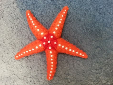 Needle Felted orange and white starfish Starfish Images, Felted Fish, Orange Starfish, Felt Fish, Sea Stars, Stella Marina, Beautiful Sea Creatures, Star Fish, Felting Ideas