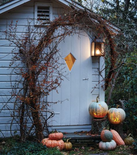 Cozy Fall Aesthetic, Martha Stewart Halloween, Autumn And Halloween, Halloween Facts, Autumn Magic, Fall Front Porch, Fall Halloween Decor, Fall Porch, Fall Aesthetic