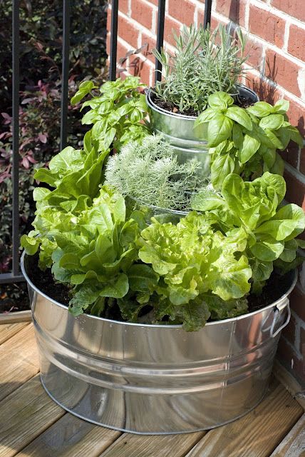 Salad gardening right outside the kitchen door ! Rosemary Lavender, Container Vegetables, Herb Garden Design, Herb Gardening, Home Grown Vegetables, Container Gardening Vegetables, Garden Containers, The Secret Garden, Growing Herbs