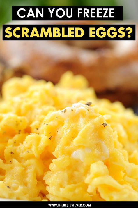 How To Freeze Cooked Eggs, Freezer Eggs Recipes, Make Ahead Eggs Scrambled, Freezing Eggs Cooked, Can You Freeze Scrambled Eggs, Egg Sandwiches To Freeze, Freezer Friendly Egg Recipes, How To Freeze Scrambled Eggs, Freeze Dried Scrambled Eggs