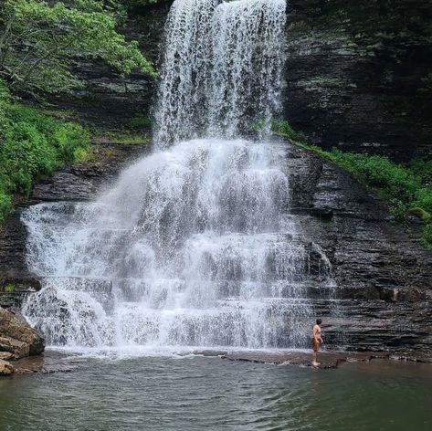 Cascades Falls Is A Beautiful Waterfall Swimming Hole In Virginia Natural Swimming Hole, Virginia Waterfalls, Waterfall Swimming, Things To Do In Virginia, Virginia Vacation, Cascade Falls, Swimming Hole, Best Year Ever, Virginia Travel