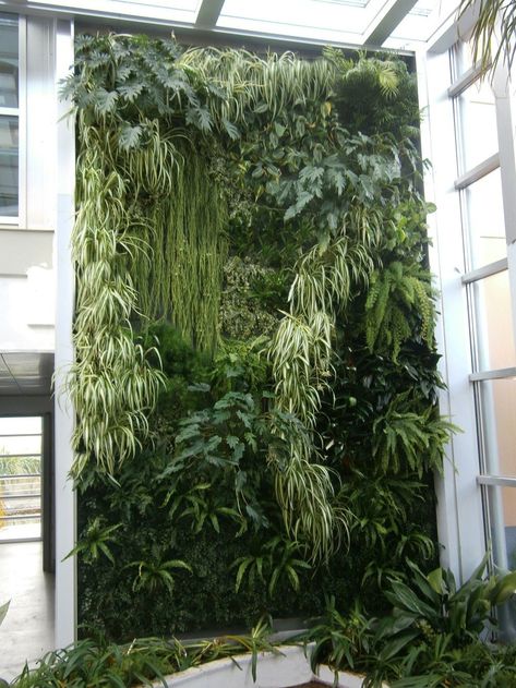 Green Wall Plants, Vertical Green Wall, Vertikal Garden, Vertical Garden Plants, Vertical Garden Design, Vertical Garden Wall, Vertical Garden Diy, Aesthetic Garden, Vertical Gardens