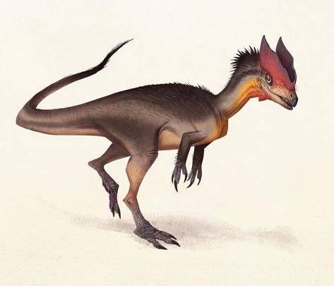 For no particular reason, here’s an illustration of the Early Jurassic theropod Dilophosaurus I did a while back when it was making the… | Instagram Dilophosaurus Art, Johan Egerkrans, Beast Fiction, Paleo Art, Prehistoric Creatures, February 9, Fantastic Beasts, Jurassic Park, Moose Art