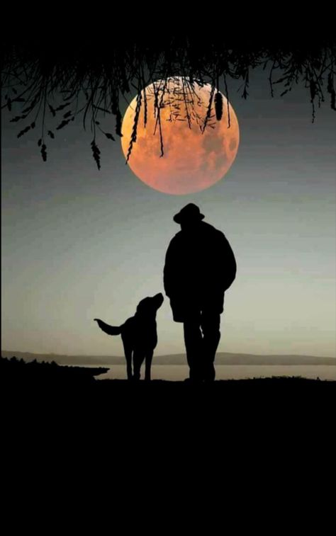 Beautiful Moon Pictures, Man And His Dog, Shoot The Moon, Silhouette Painting, 강아지 그림, Image Nature, Moon Pictures, Man And Dog, Dog Silhouette