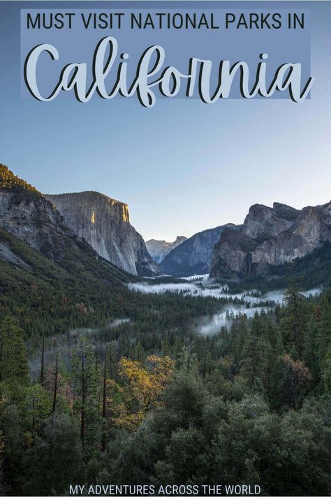 Are you planning a trip to California? There are many California national parks. Read this post to discover the best national parks in California that you should visit, and get tips for your California national park road trip | Yosemite National Park | Joshua Tree National Park | Redwood National Park | #california via @clautavani California National Park Road Trip, National Parks In California, Trip To California, Pinnacles National Park, Best National Parks, Channel Islands National Park, Lassen Volcanic National Park, Redwood National Park, Kings Canyon National Park