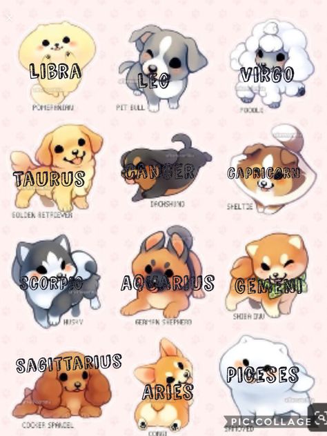 Zodiac Signs As Dogs, Chibi Dog, Dog Zodiac, Zodiac Signs Animals, Cute Dog Drawing, Zodiac Characters, Little Drawings, Cute Animal Drawings Kawaii, Adorable Puppy