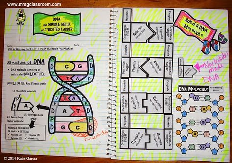 DNA - science interactive notebook Monster Worksheet, Science Interactive Notebooks, Vocabulary Foldable, Biology Interactive Notebook, Dna Activities, Create A Monster, Punnett Squares, Dna Project, Biology Resources