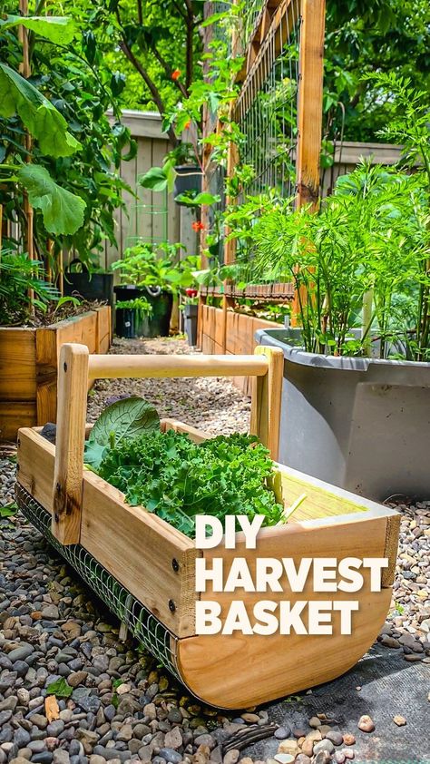 Diy Produce Basket, Garden Harvest Basket Diy, Garden Basket Diy, Diy Berry Basket, Garden Hod Diy, Harvest Basket Diy, Diy Garden Basket, Diy Harvest Basket, Harvest Basket Ideas