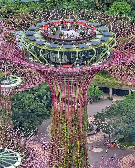 #indochine #restaurant at #supertree #gardensbythebay in #Singapore . #superdinner #perfect #view #thisissingapore #tourist #tourism #beautifuldestinations #photooftheday #picoftheday #nikon #canon #sg #singaporean #landscape #vacation #landscapedesign #nature #flowers  Photo credit @hugocarlton Rotating Restaurant, Revolving Restaurant, Perfect View, Green Architecture, Building Architecture, Gardens By The Bay, Aerial Photo, Ip Address, Incredible Places