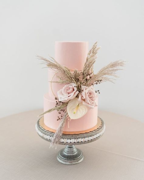 Lulus Weddings on Instagram: “we're so here for the pampas grass detailing on this cute as can be cake 💗🌾✨ photographer @mandylizphotography planner and designer…” Boho Cakes, Blush Pink Wedding Cake, Cake Pretty, Blush Wedding Cakes, Vegan Wedding Cake, Blush Wedding Inspiration, Wedding Setup, Vegan Wedding, Elegant Birthday Cakes