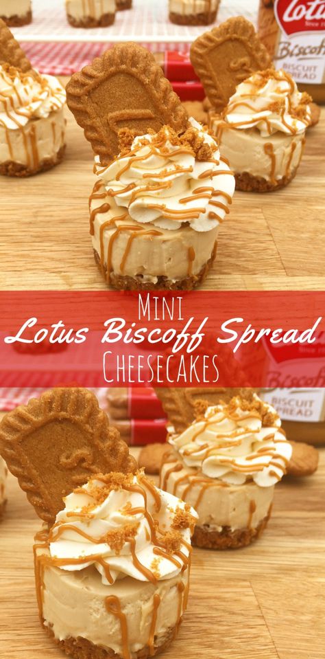 Biscotti Cheesecake Recipes, Biscoff Mini Cheesecake, Peanut Butter Ideas, Biscoff Desserts, Individual Cheesecake, Biscoff Butter, Butter Ideas, Oreo Peanut Butter, Biscotti Cheesecake