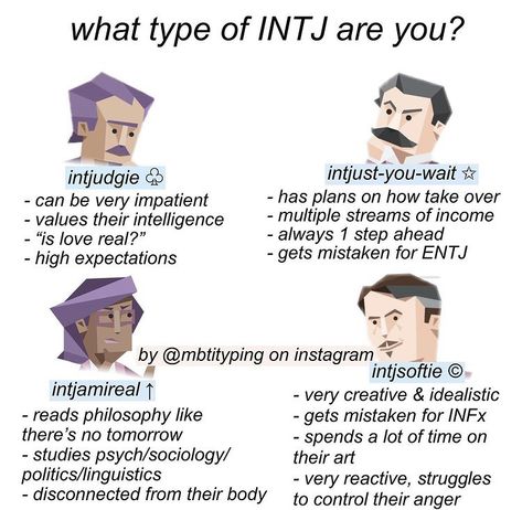 Personality Mbti, Intj Characters, Intj Humor, Intj Women, Intj T, Intj And Infj, Intj Intp, Intj Personality, Mbti Relationships